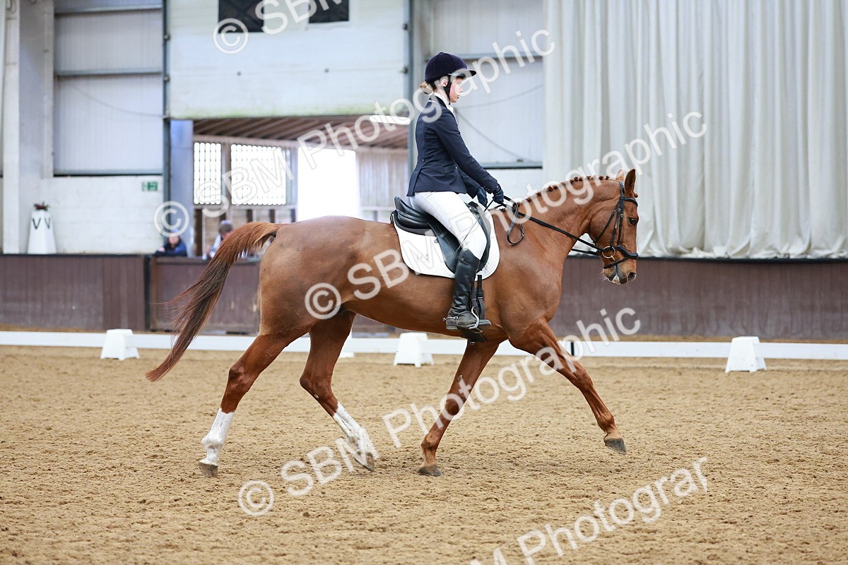 SBM_003456 - Class 11 - Novice 2
