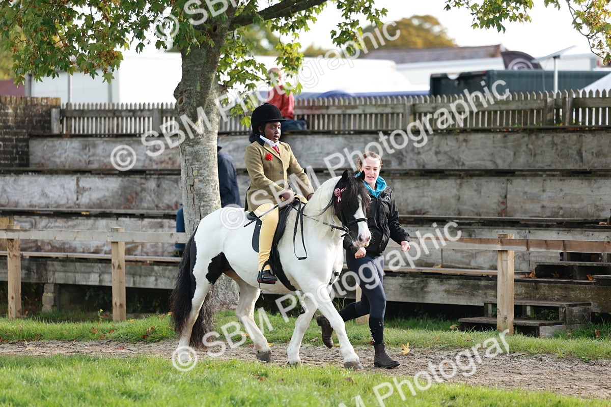 SBM_56314 - S39 - Starters In Hand Showing