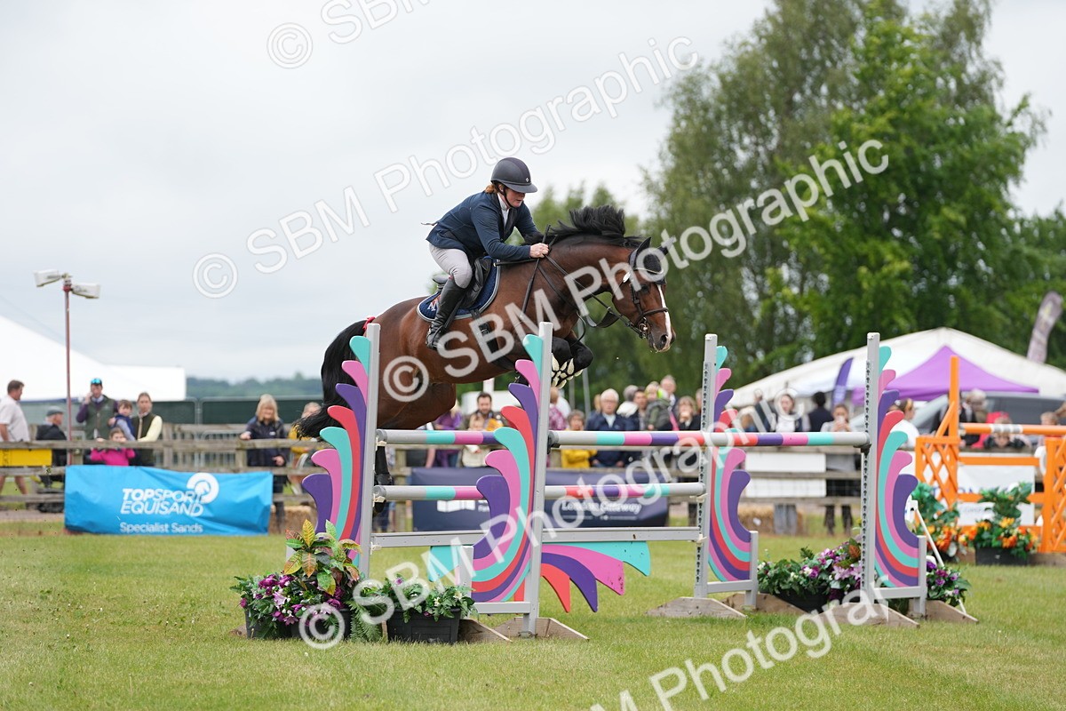 SBM_03331 - Class 201 - British Horse Feeds Speedi Beet Horse of the Year Show Grade  C