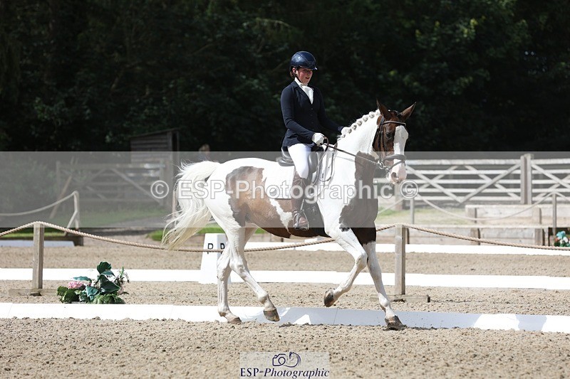 230812-112645-03770 - Cls 5 Novice Bronze 11.15 to 12.50 break