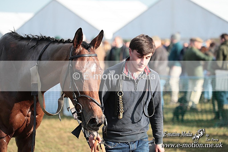PtP 010325 356 - Beaufort Races Didmarton 01/03/25