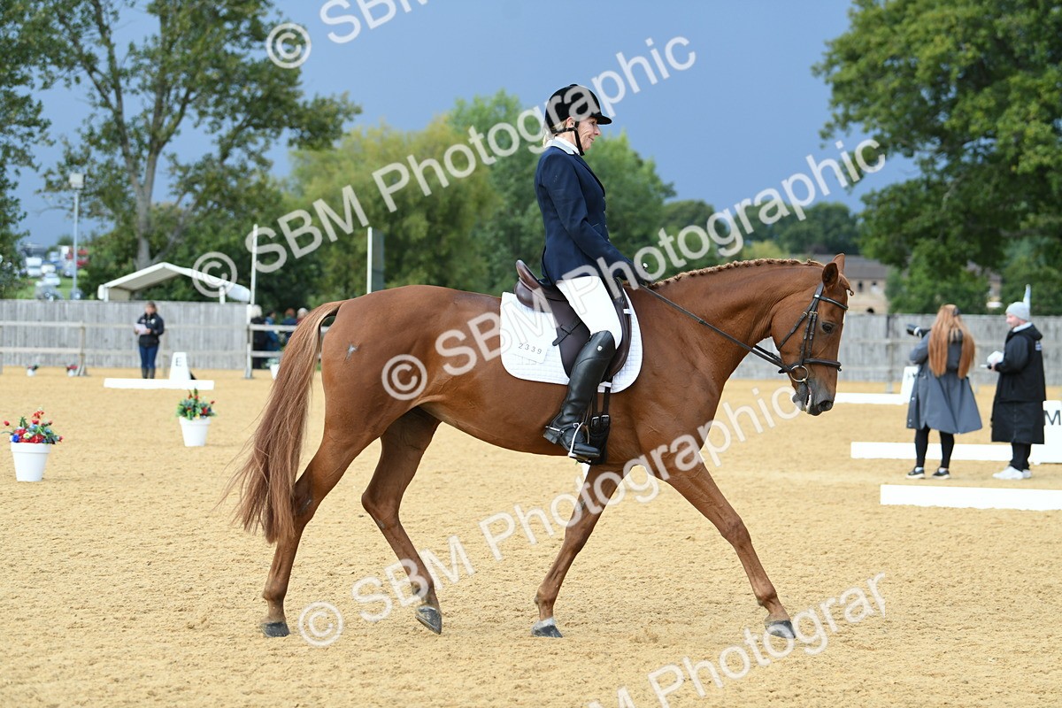 SBM_10992 - D28 Elementary Taster Elementary 42