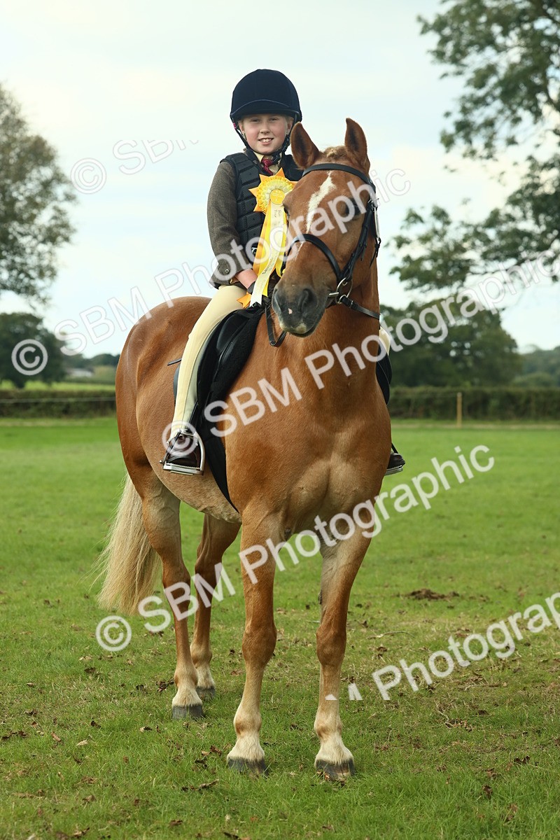 SBM_62543 - S62 - Foreign Breeds Ridden