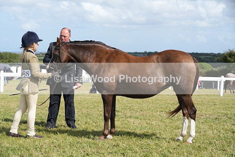 DSC07626 - Class 62: Child Handler