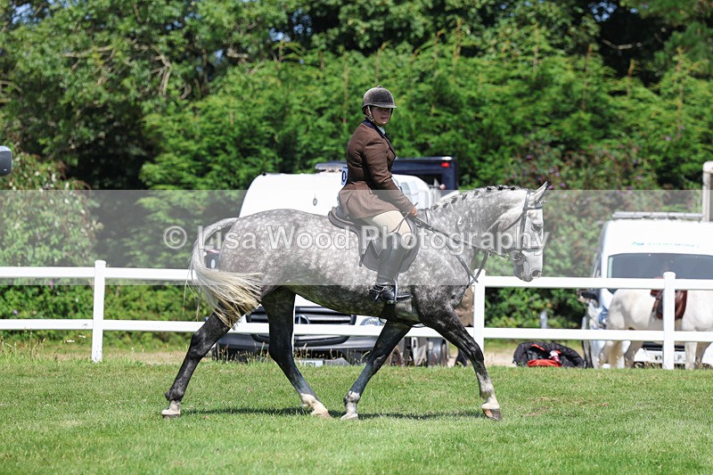 3E7A8934 - Class 6: Open Working Horse