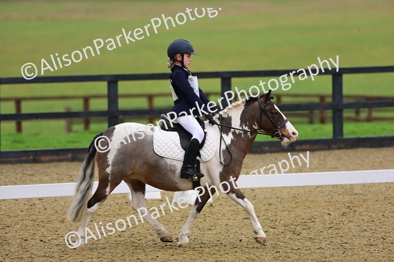 20260125-0637 - Class 9b - Walk Trot Unassisted