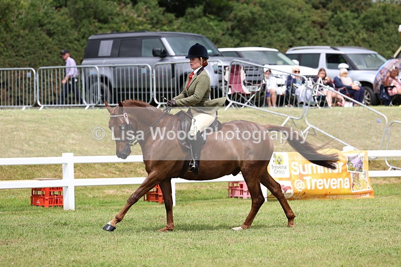 3E7A0941 - Class 8: Open Riding Horse/Hack