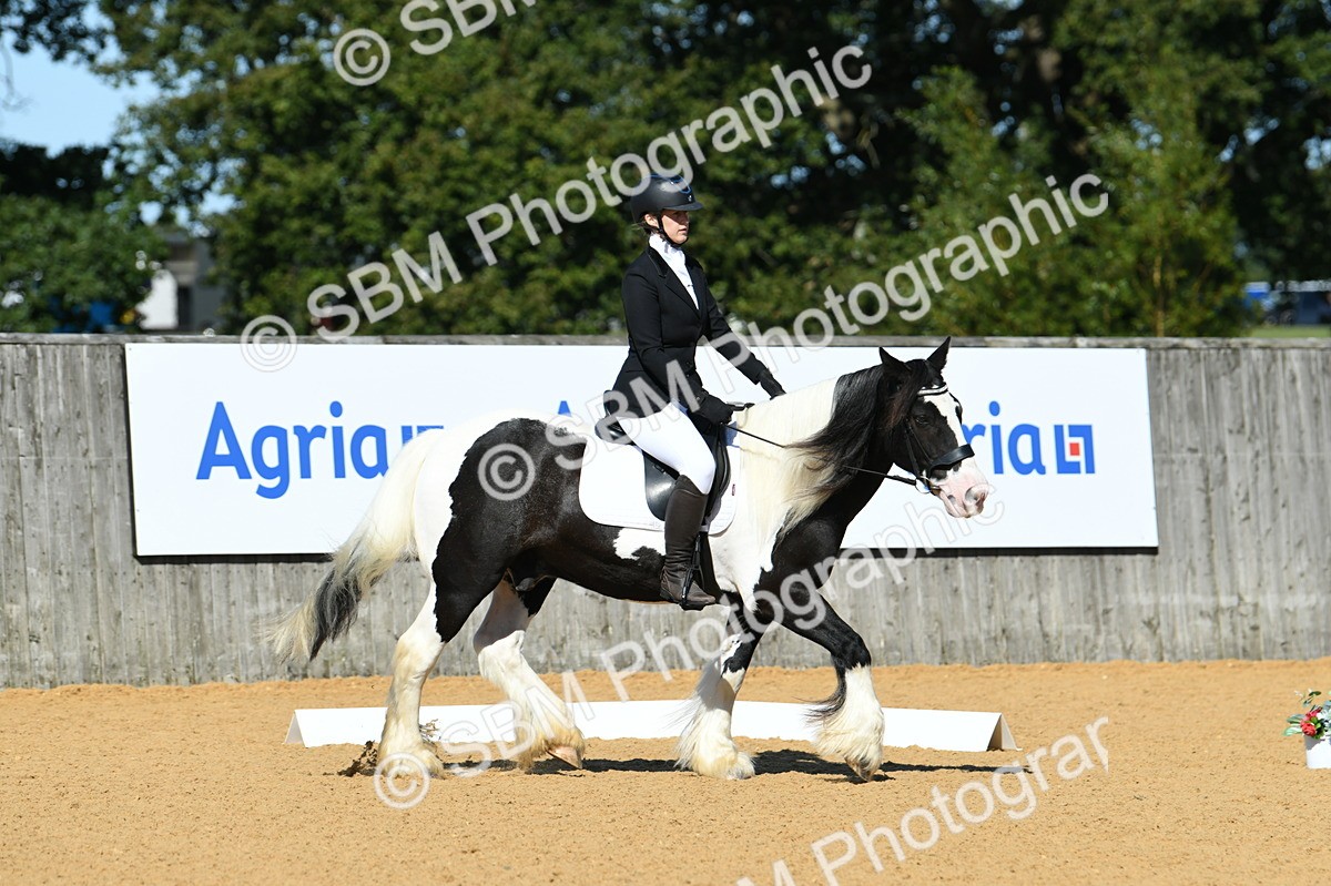 SBM_18213 - D4 - Small Tour Championship - Intro B