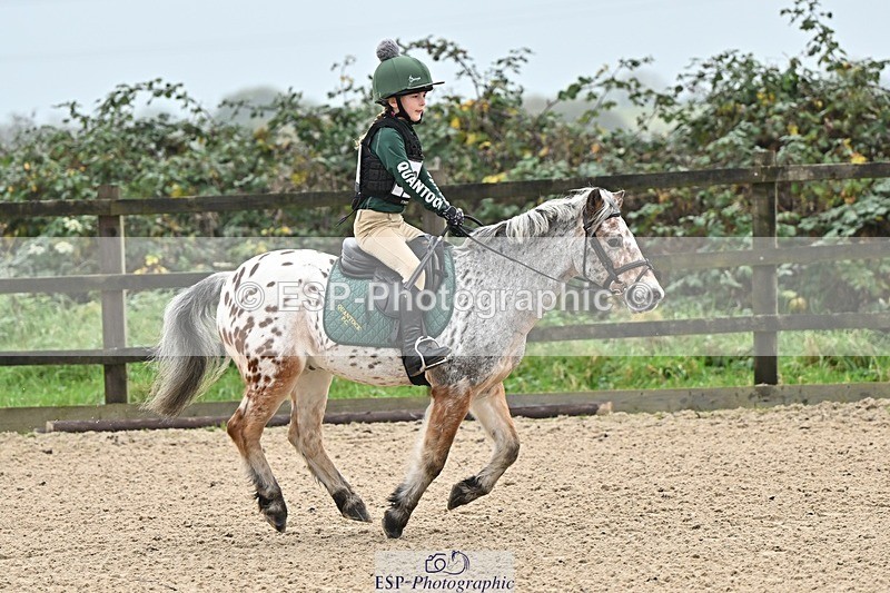 241110-095716-00133 - 40cm Showjumping