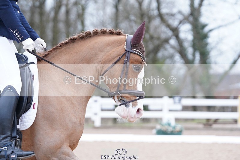 250214-094528-00060 - 167-Willow.Tarrant.Clark-Ashgrove.Wendi