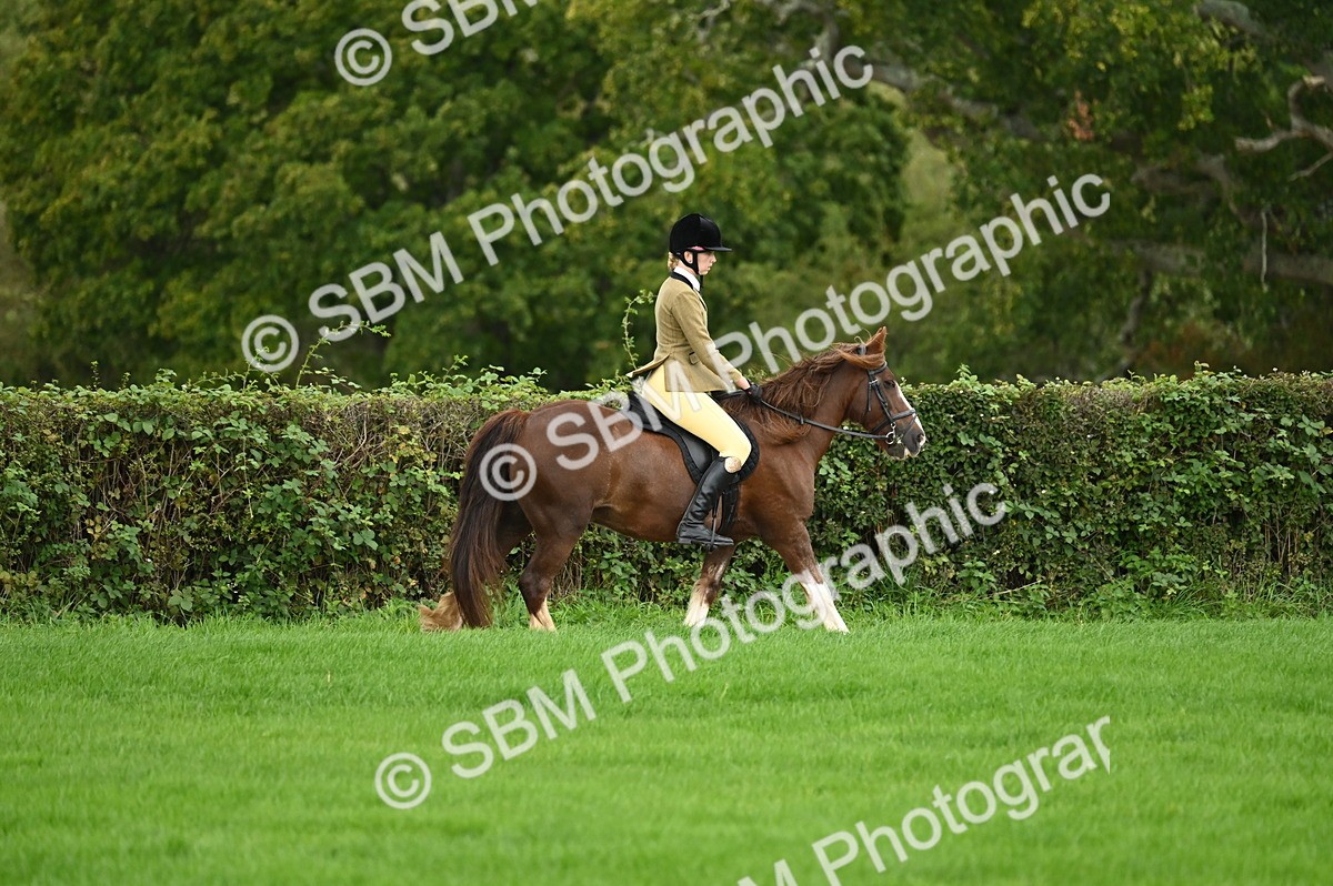 SBM_02902 - S3 - TSR Ridden Pony Showing