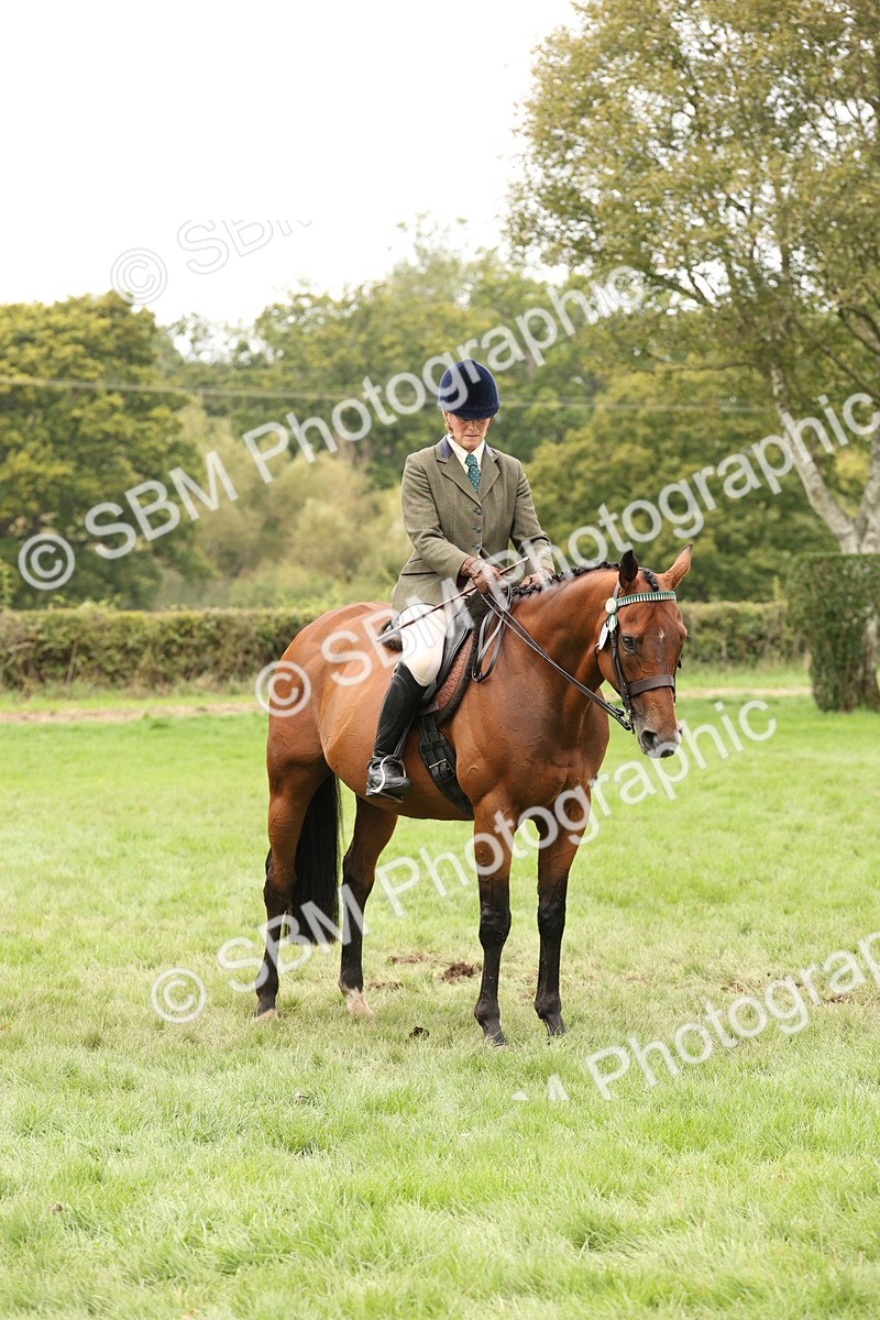 SBM_64274 - S65 - Riding Horse & Hack & Thoroughbred Ridden