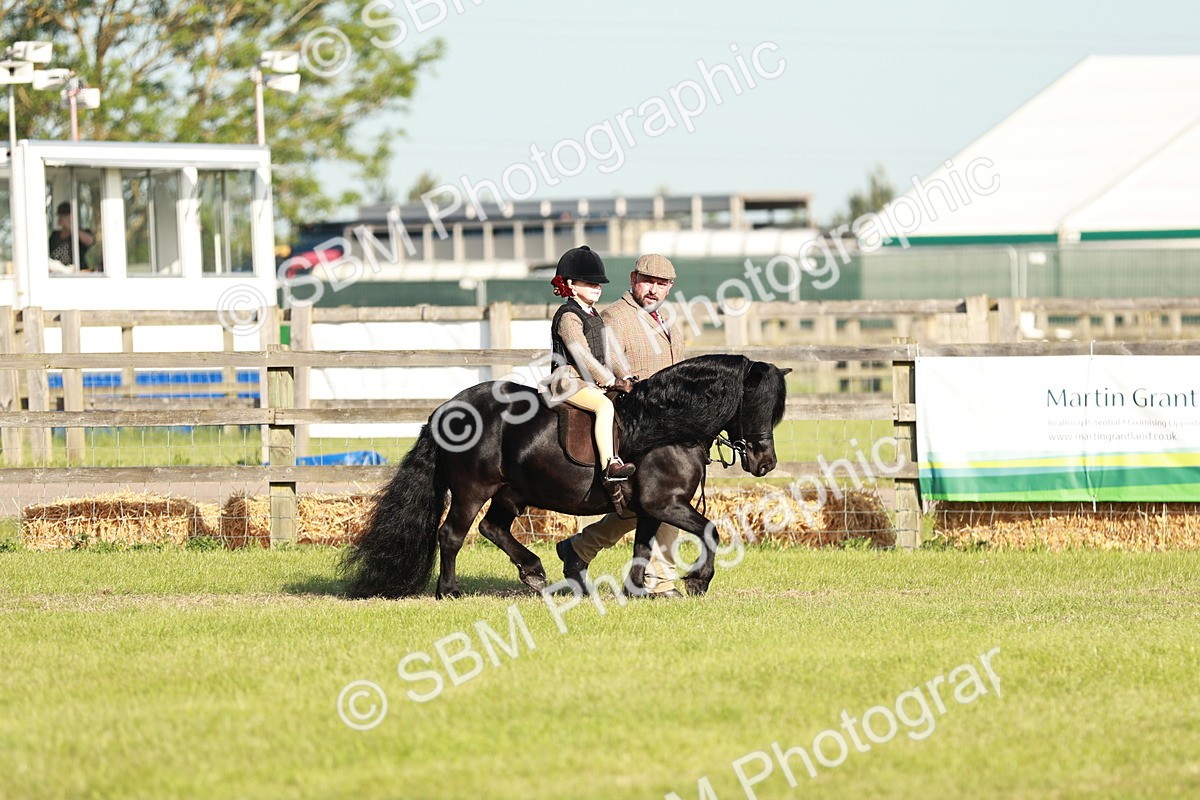 SBM_11019 - Class 106-107 - BSPS LIHS Working Sports Pony