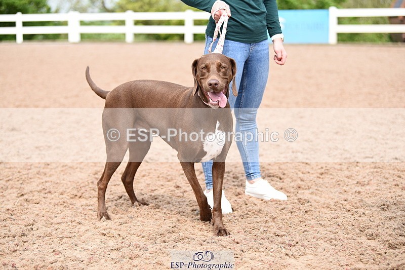 240518A-114556-00821 - Cls 2 Prettist Bitch