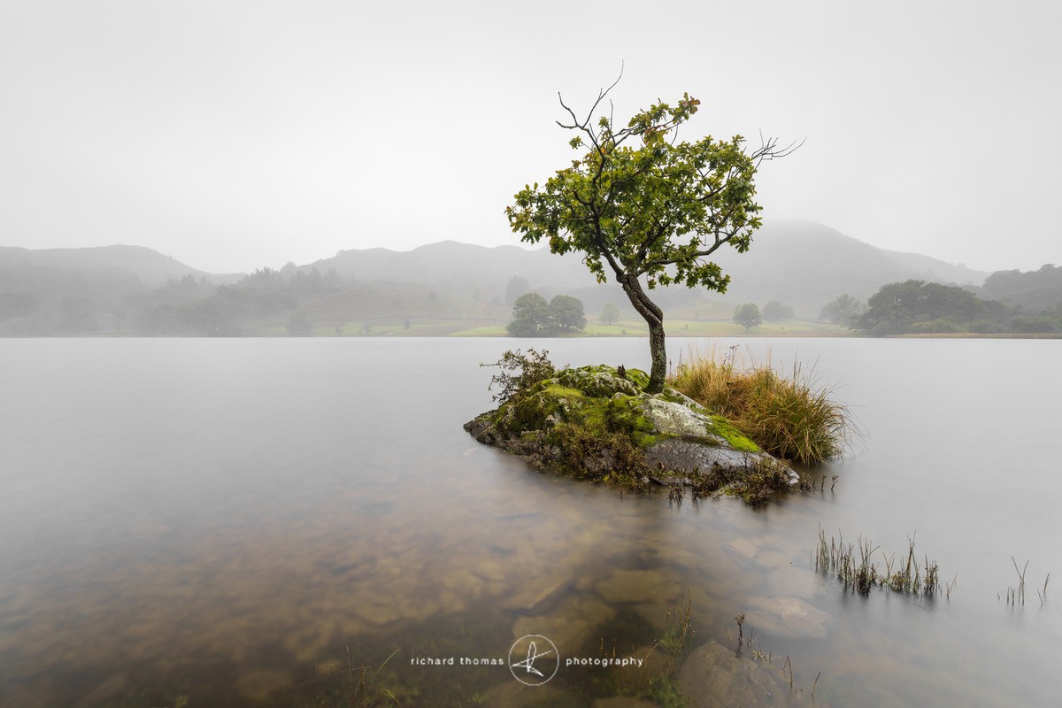 Lost umbrella - Freshwater