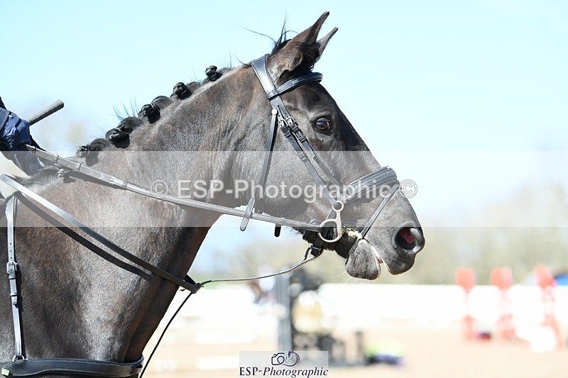 250330-142316-07394 - Cls 36 1.05m National Amateur Quali