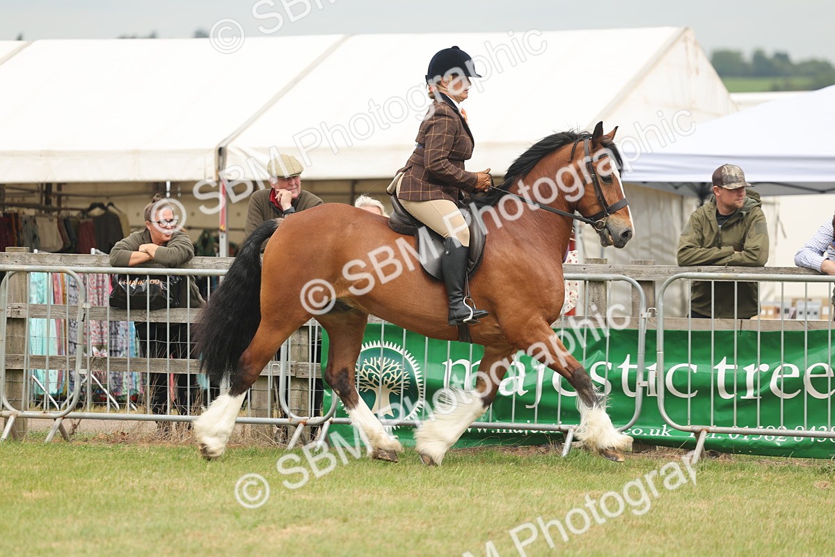 SBM_07177 - Class 76-77 - Ridden M&M Welsh Ponies