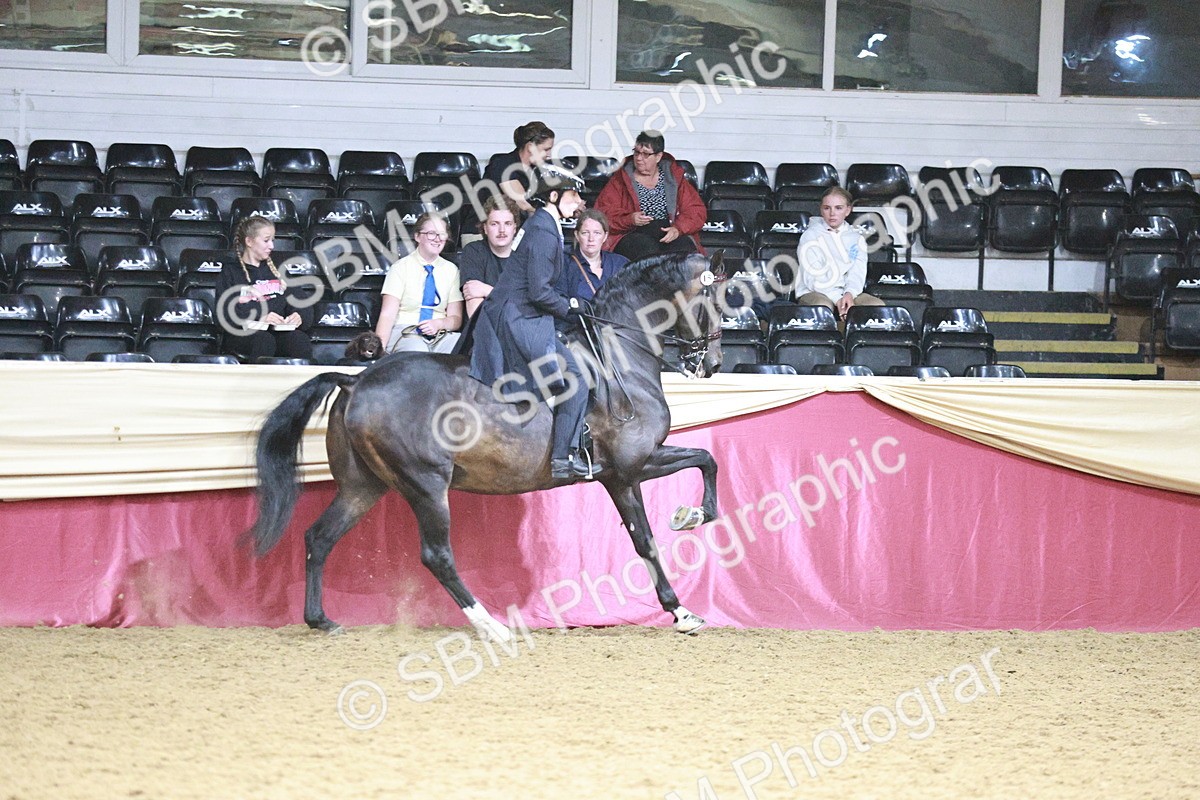 SBM_09075 - Class 12R - Regional Ridden Pre-Vet