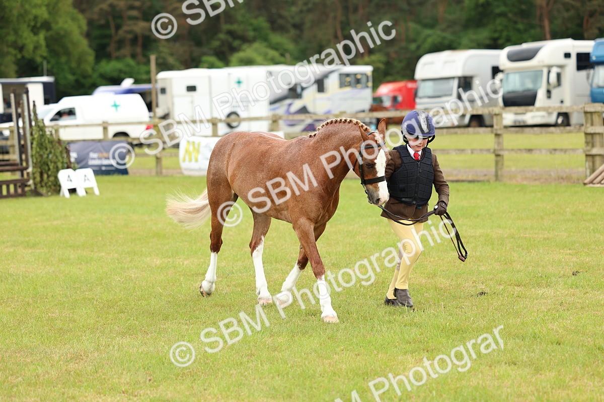 SBM_10290 - Class 44-45 - LIHS BSPS Open Nursery and Cradle Stakes