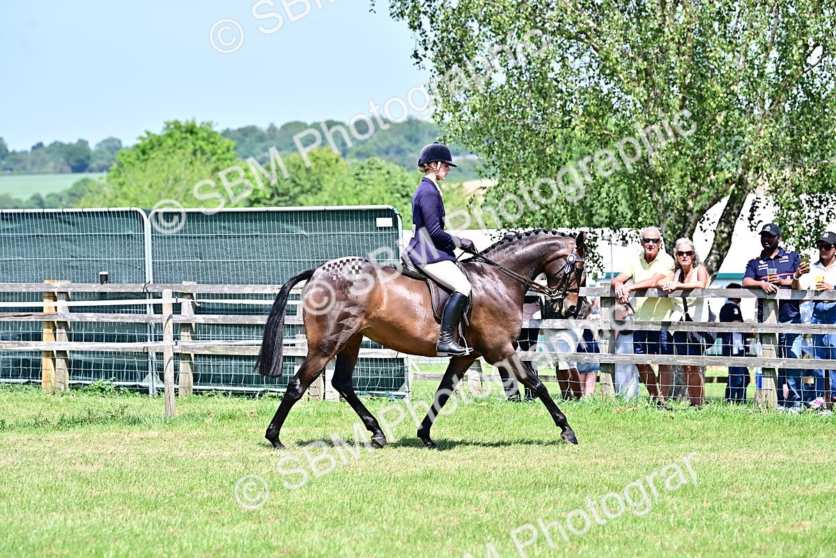 SBM_17393 - Class 95-97 - BSPS LHS Performance Ponies