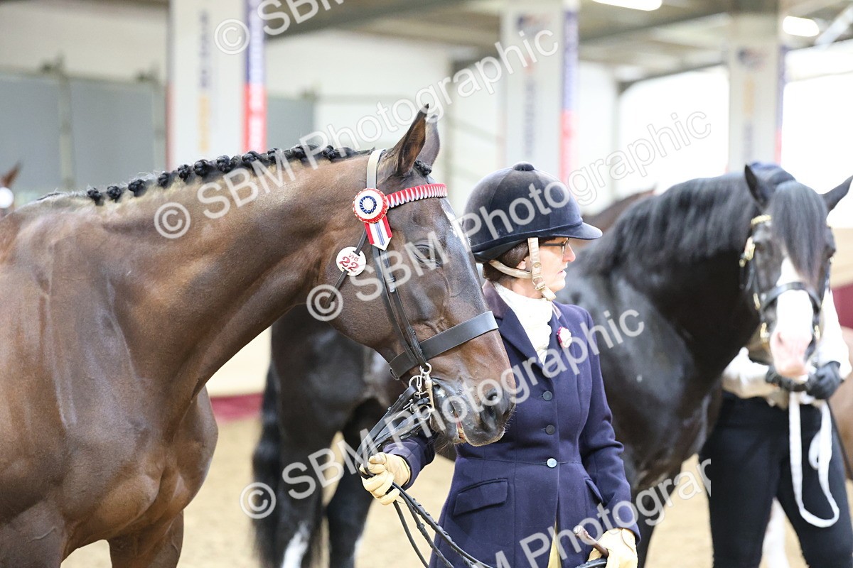 SBM_22461 - Class 902 - Supreme Final - IH Diamond