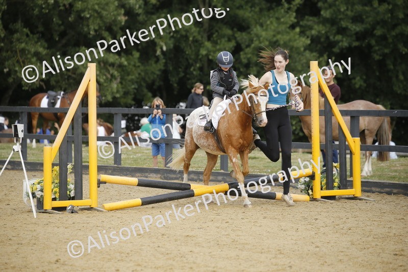 20250622-1317 - 40cm