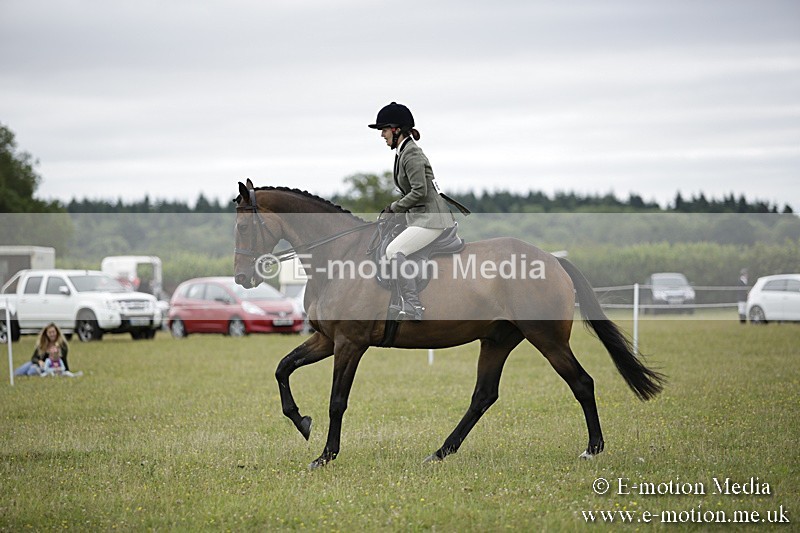 BVR160717-832 - Ring 1 BVRC Show 16/07/17