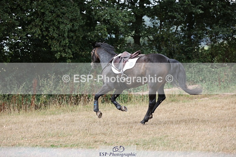 250824A-125916-36772 - 2053-Ava.Sampson-Chameleon