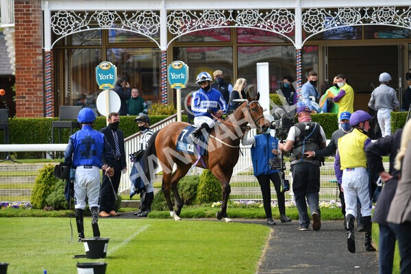 yr13052021r5-30 - Race 5 3.40pm British Stallion Studs EBF Westow Stakes