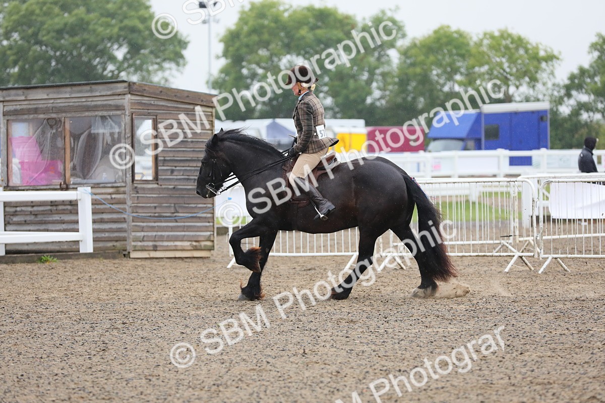 SBM_20310 - Class 803 - Ridden Combination 65+