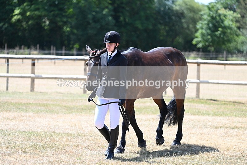 WJ7_2326 - Class 5a Most Handsome Gelding in hand (above 14.2hh)
