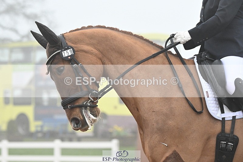 240217A-134815-03477 - 259-Claire.Speer-Joyful.Optimism