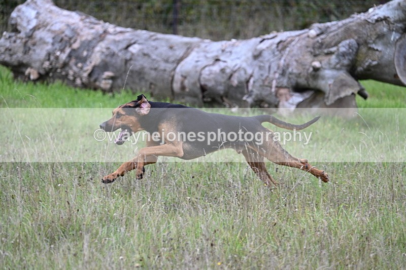 WJ7_3520 - Camera 1 Line 1