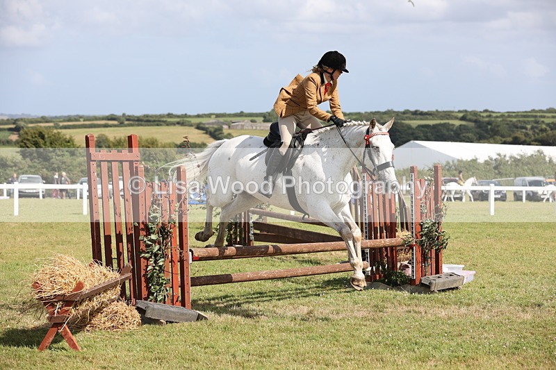 JPP_2501 - Class 20: Working Hunter 70cm