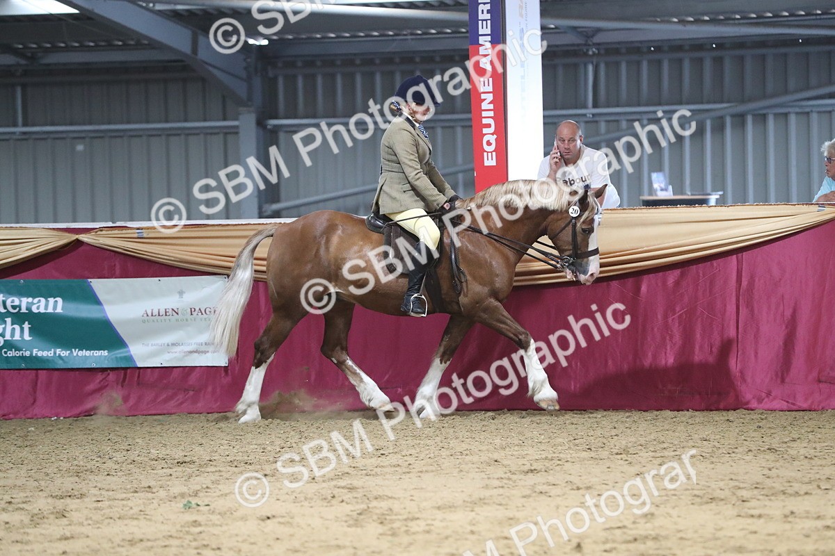 SBM_08418 - Class 11R Regional Ridden Veteran