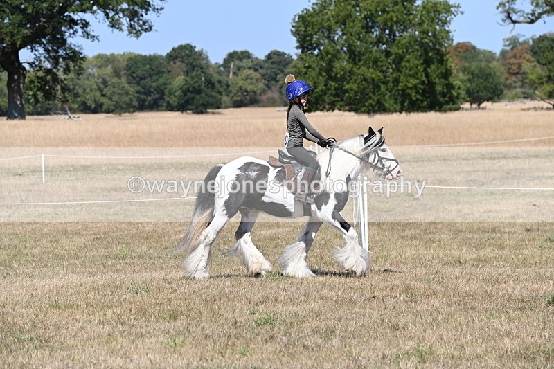 WJ6_8796 - Class 38 Ridden Riding Horse/Pony