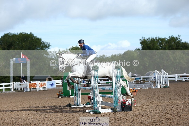 230811A-092719-02852 - Cls 13 A&B Snr Brit Nov & 90cm Open