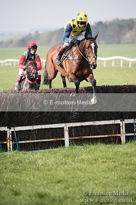 PtP 210418 416 - South & West Wilts Point-to-Point Larkhill 21/04/18