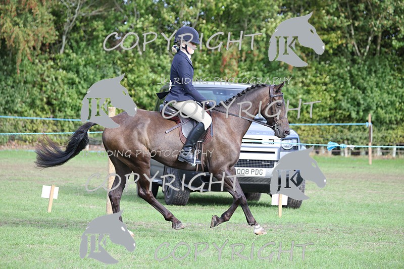 APP_4179 - Class 15a/b Pony club pony/Riding club horse