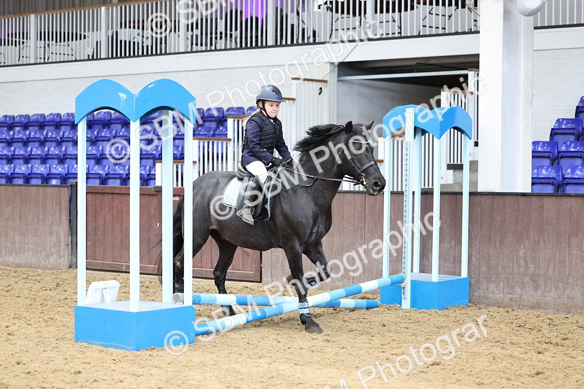 SBM_006892 - Class 1 - 40cm showjumping
