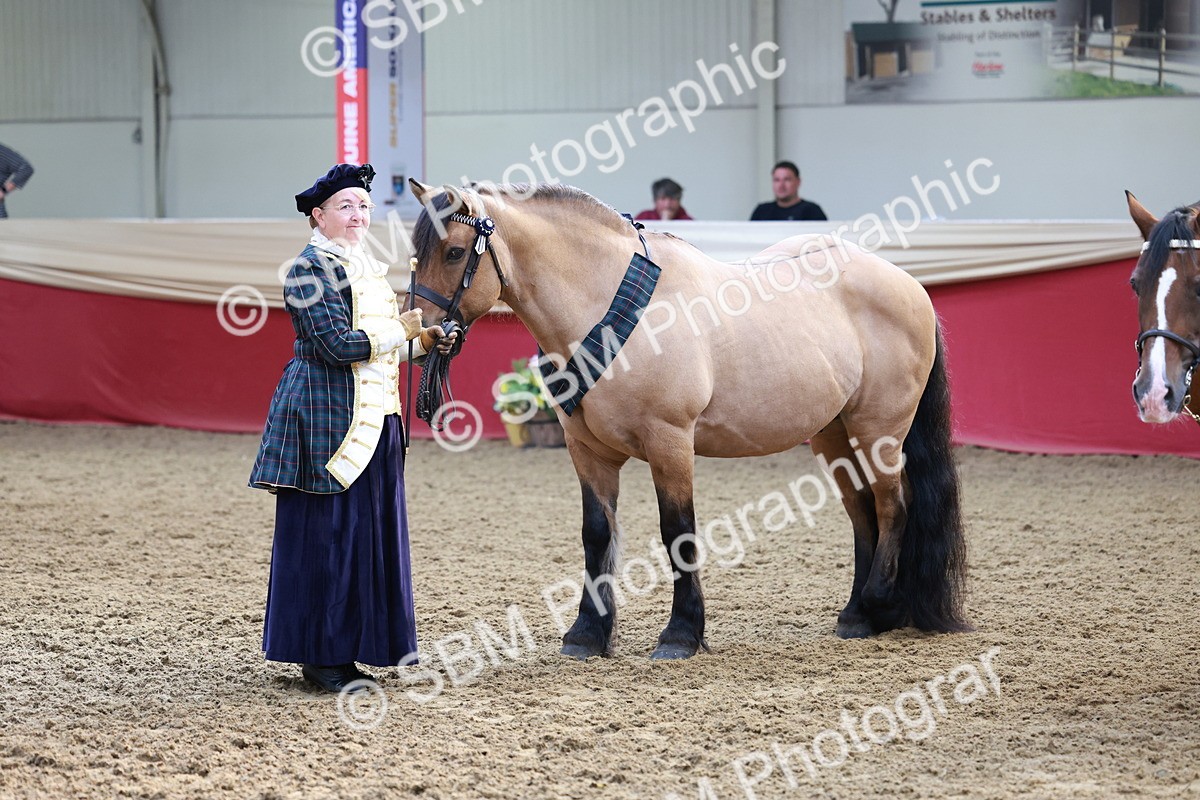 SBM_12102 - Class 103 - IH Costume