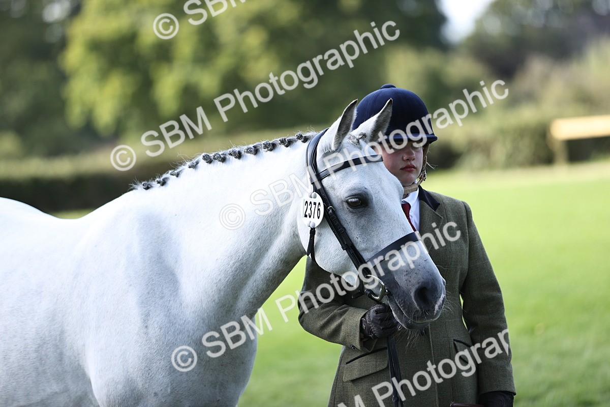 SBM_26254 - S5 - Novice & Newcomers In Hand
