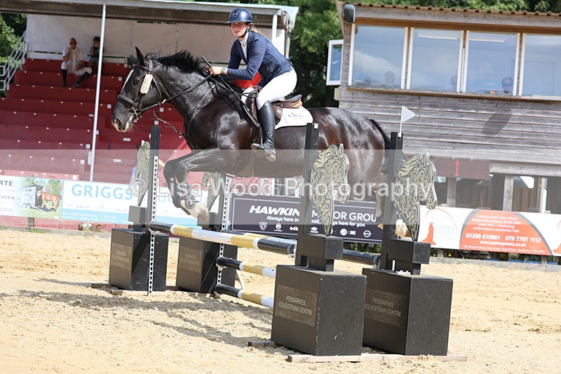 3E7A3498 - Class 4: Senior British Novice/90cm open