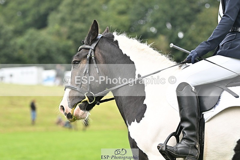 230826-123816-18407 - PC70 Plus