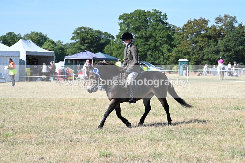 WJ7_3298 - Class 8 Ridden Tack & Turnout