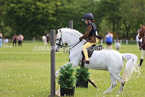 IMG_2358 - Working Hunter