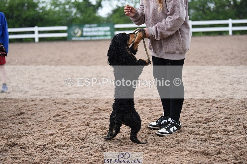 240518A-131404-01276 - Cls 7 Child Handler