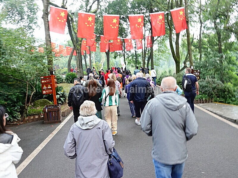 CHINA__0040 - China 2019