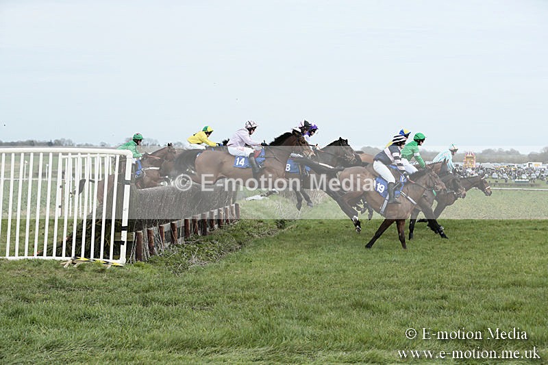 PtP 230319 158 - VWH Hunt Siddington Point-to-Point Racing 23/03/19