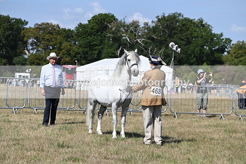 WJ6_4738 - Class 17 Mountain & Moorland